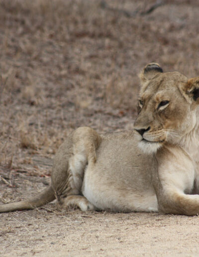 Day_6_Kruger_night_AND_Day_7_197e