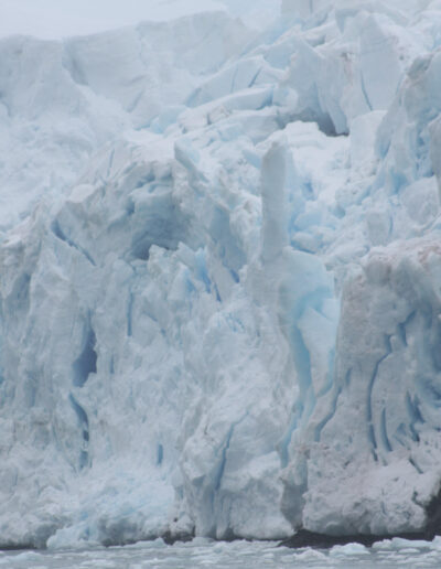 Glaciers abound