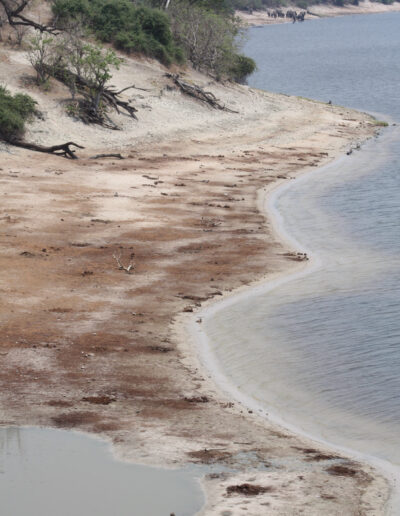 chobe_game_drive_4_374c