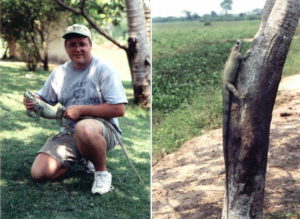 Iguana Capture in Brazil, Northern Pantanal