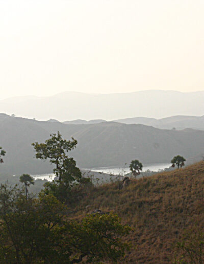 Rinca Island-home of Komodo Dragons